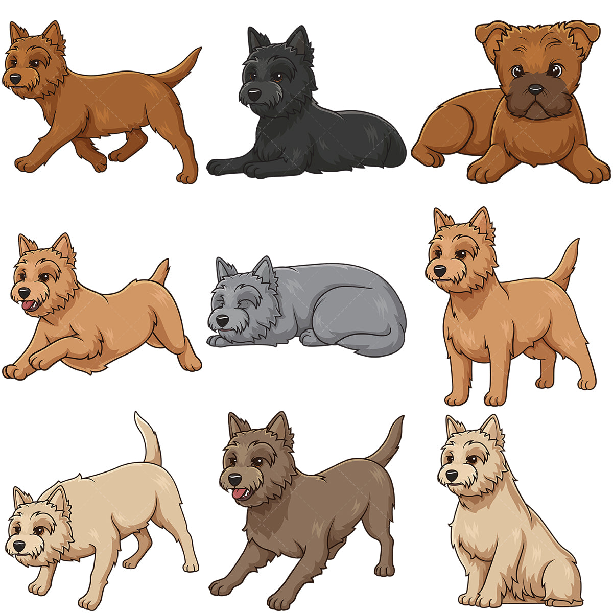 A bundle of 9 royalty-free stock vector illustrations of cairn terrier dogs.