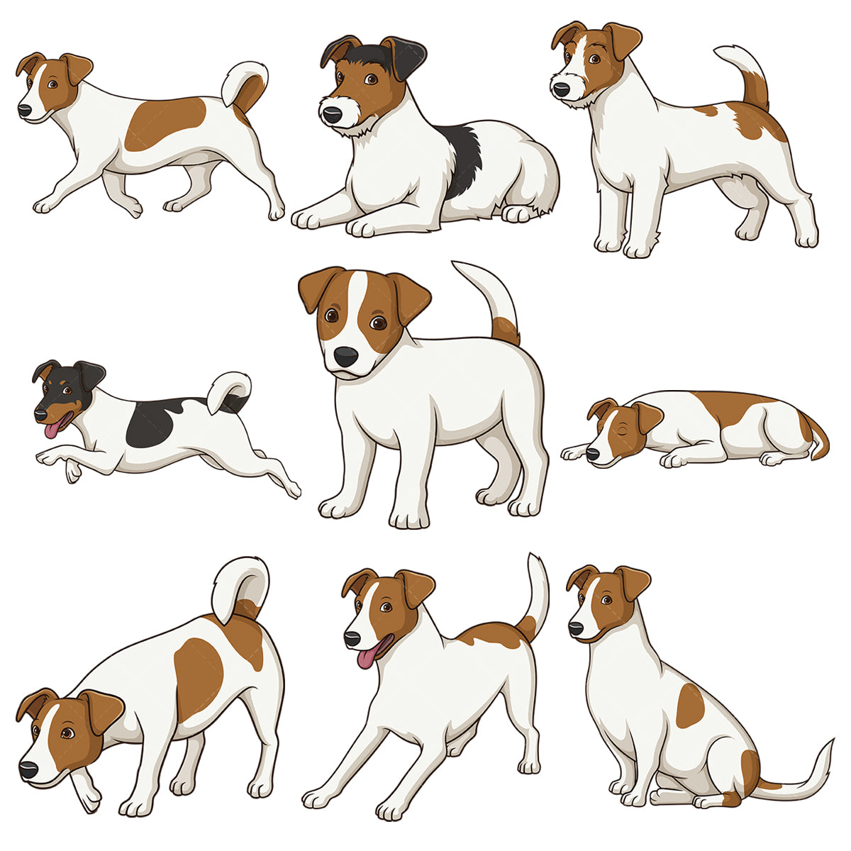 A bundle of 9 royalty-free stock vector illustrations of jack russell dogs.