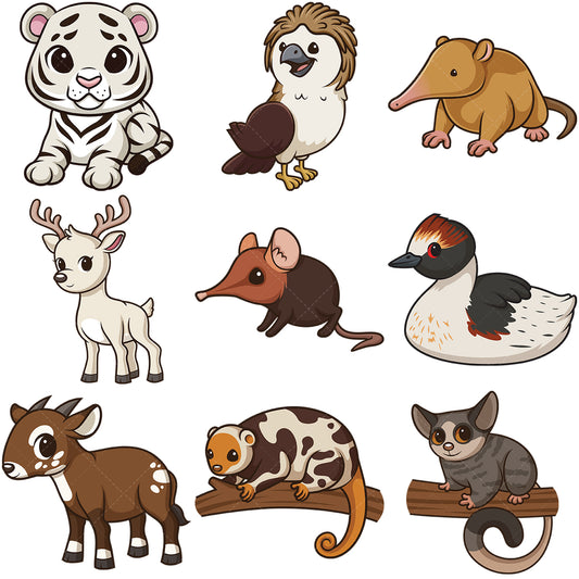 A bundle of 9 royalty-free stock vector illustrations of kawaii rare animals.