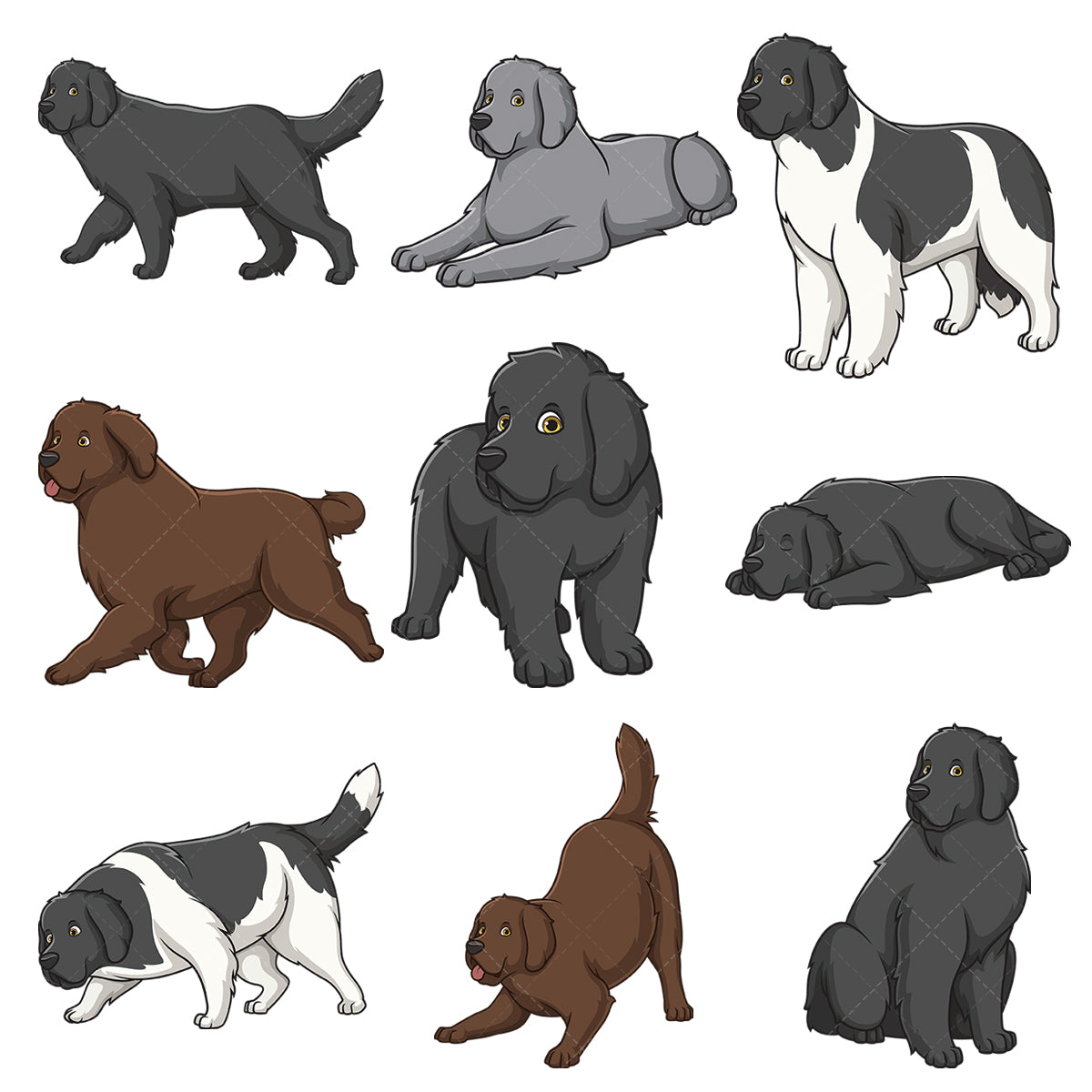 A bundle of 9 royalty-free stock vector illustrations of newfoundland dogs.