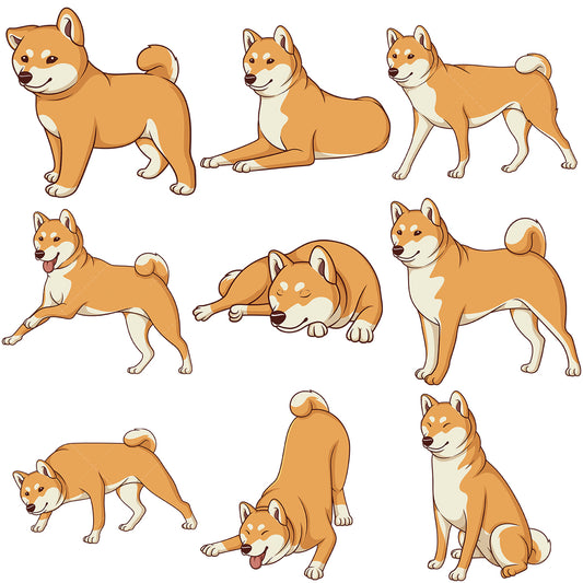 A bundle of 9 royalty-free stock vector illustrations of shiba inu dogs.