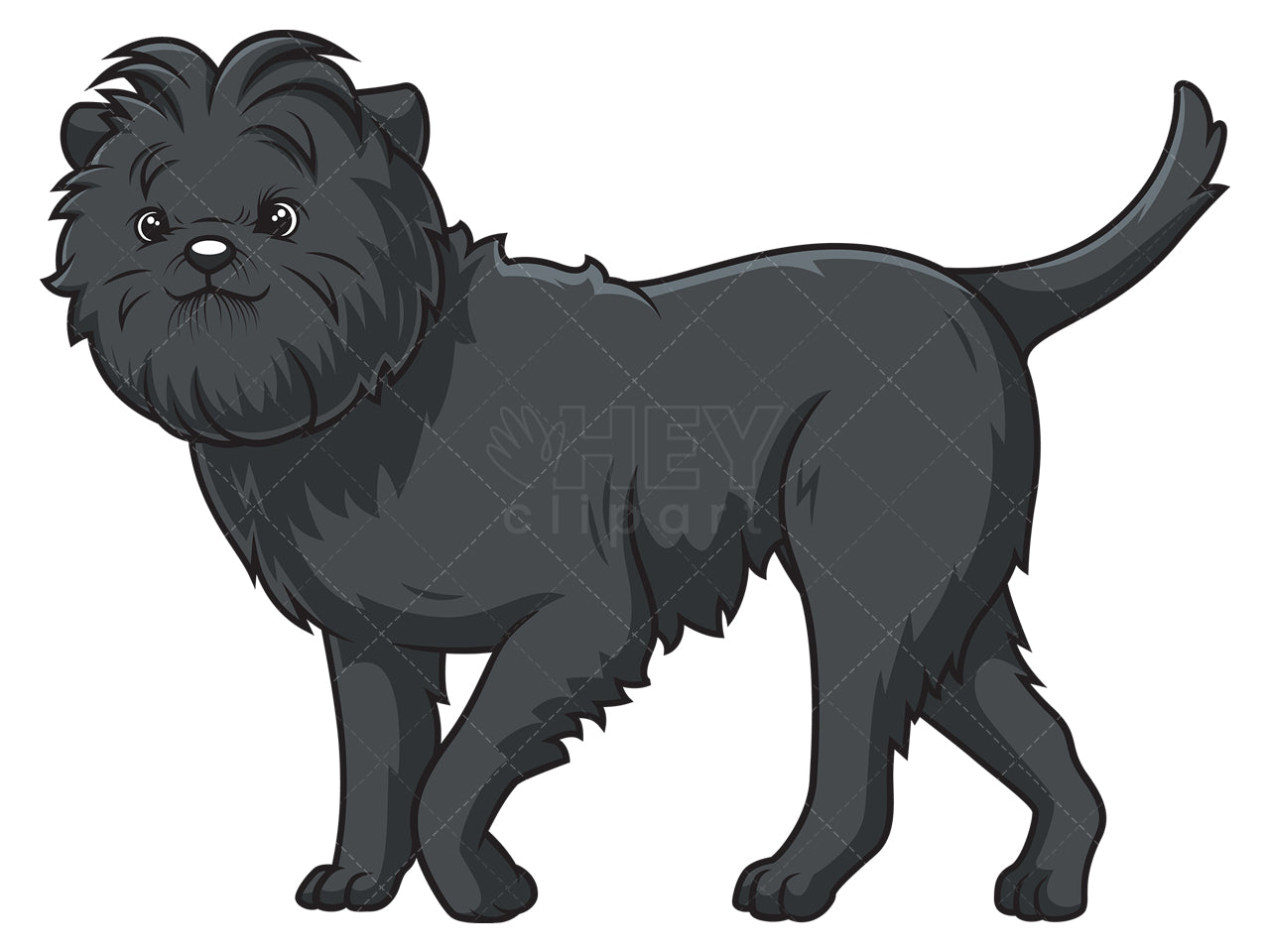 Royalty-free stock vector illustration of an affenpinscher walking.