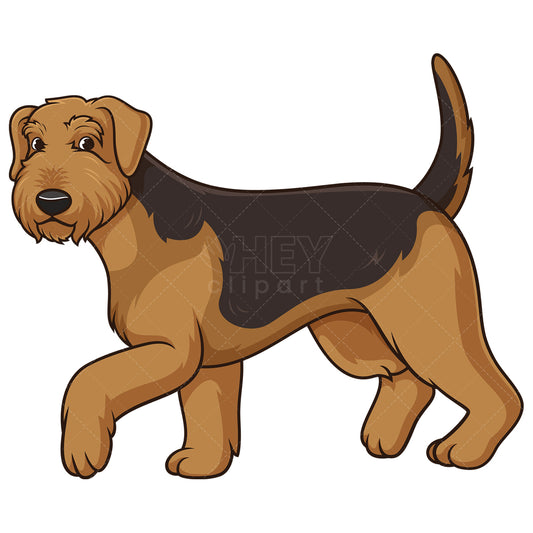 Royalty-free stock vector illustration of an airedale terrier walking.