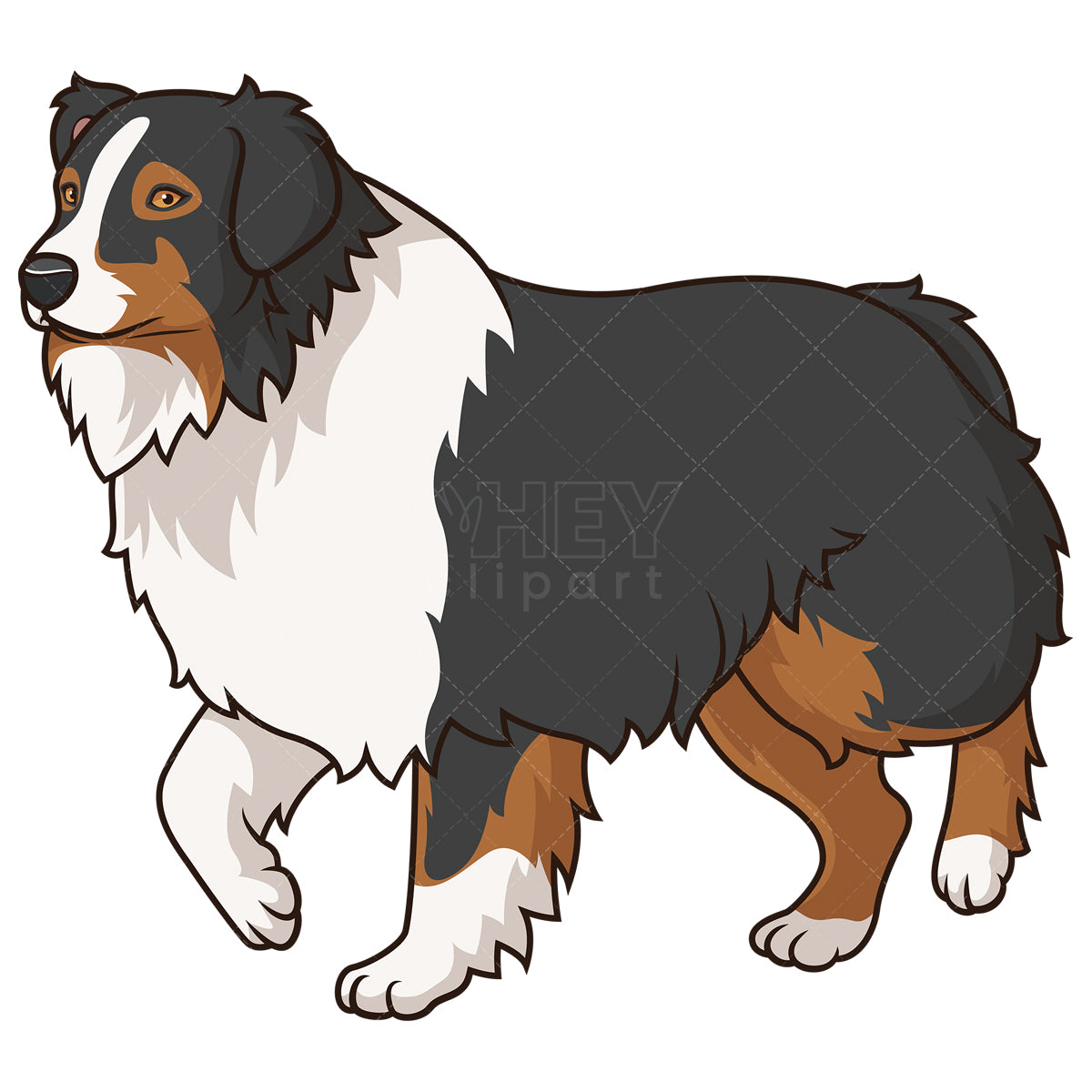 Royalty-free stock vector illustration of an australian shepherd walking.