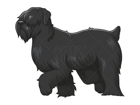 Royalty-free stock vector illustration of a black russian terrier walking.