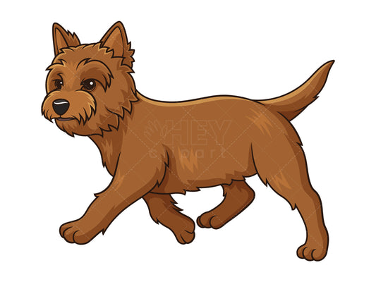 Royalty-free stock vector illustration of a cairn terrier walking.