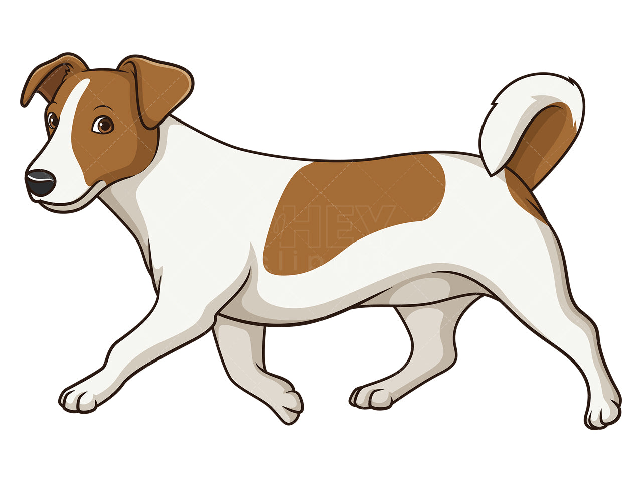 Royalty-free stock vector illustration of a jack russell dog walking.