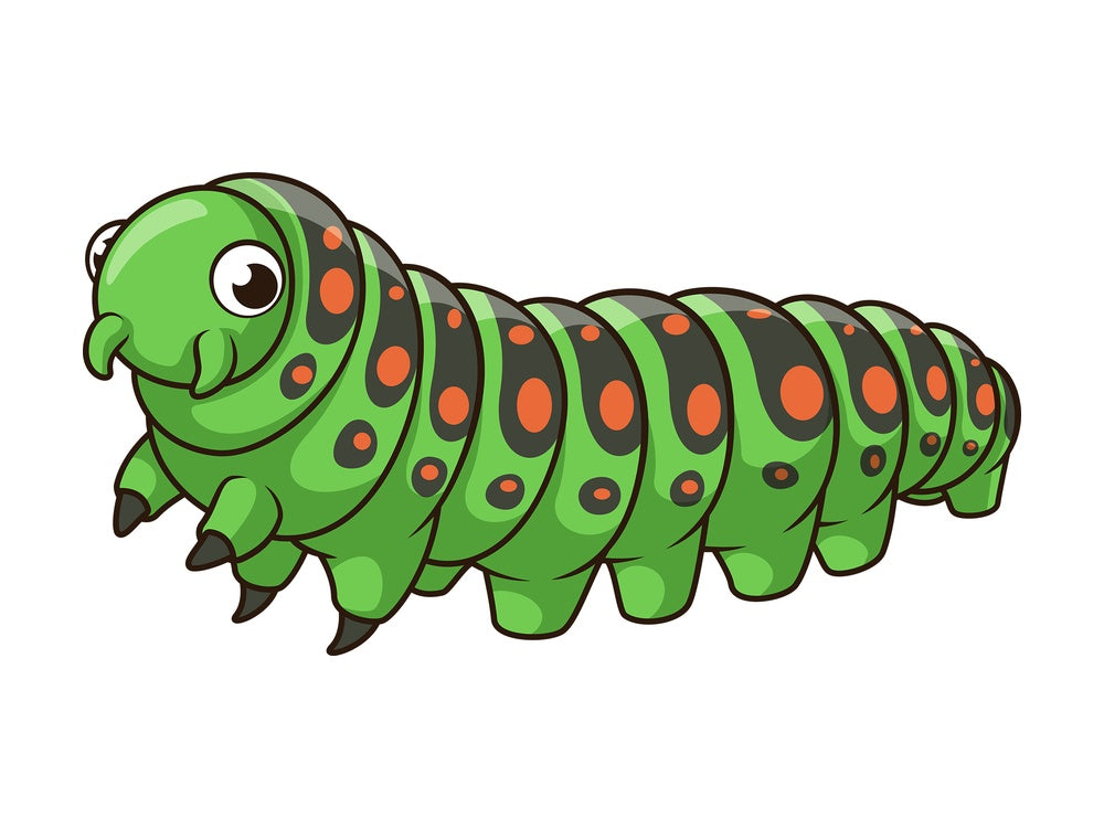 Cute caterpillar. PNG - JPG and vector EPS file formats (infinitely scalable). Image isolated on transparent background.