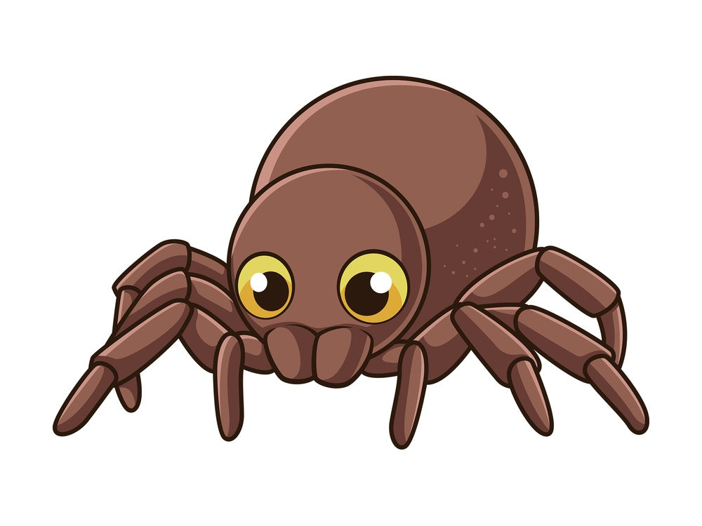 Cute spider. PNG - JPG and vector EPS file formats (infinitely scalable). Image isolated on transparent background.