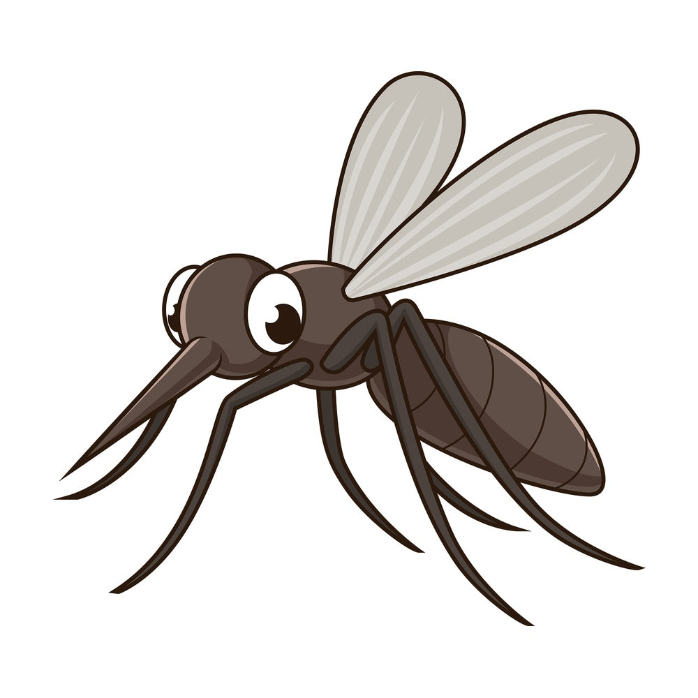 Cute mosquito. PNG - JPG and vector EPS file formats (infinitely scalable). Image isolated on transparent background.