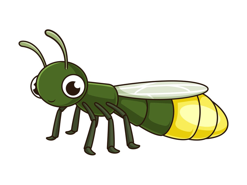 Cute firefly. PNG - JPG and vector EPS file formats (infinitely scalable). Image isolated on transparent background.