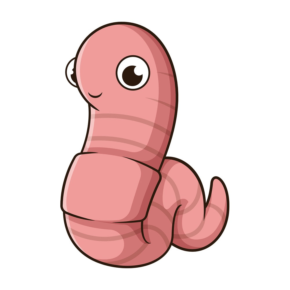 Cute worm. PNG - JPG and vector EPS file formats (infinitely scalable). Image isolated on transparent background.