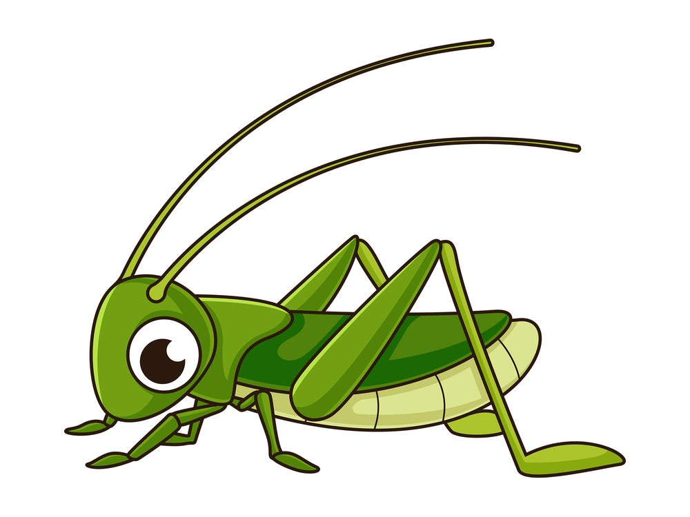 Cute grasshopper. PNG - JPG and vector EPS file formats (infinitely scalable). Image isolated on transparent background.