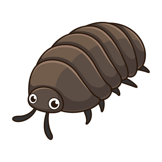Cute pill bug. PNG - JPG and vector EPS file formats (infinitely scalable). Image isolated on transparent background.