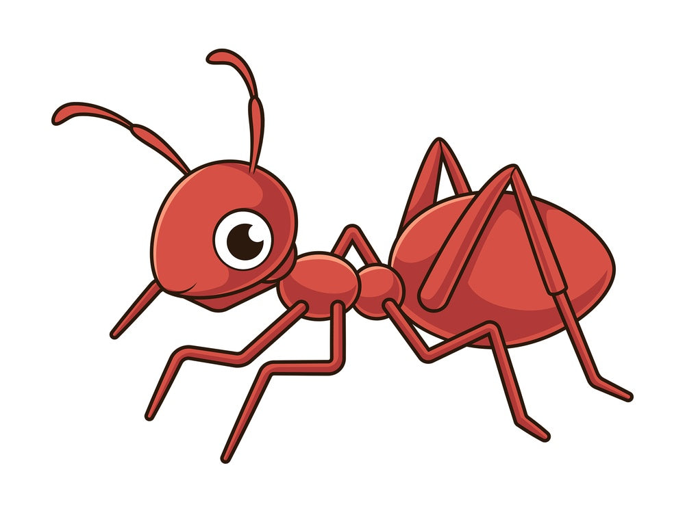 Cute ant. PNG - JPG and vector EPS file formats (infinitely scalable). Image isolated on transparent background.