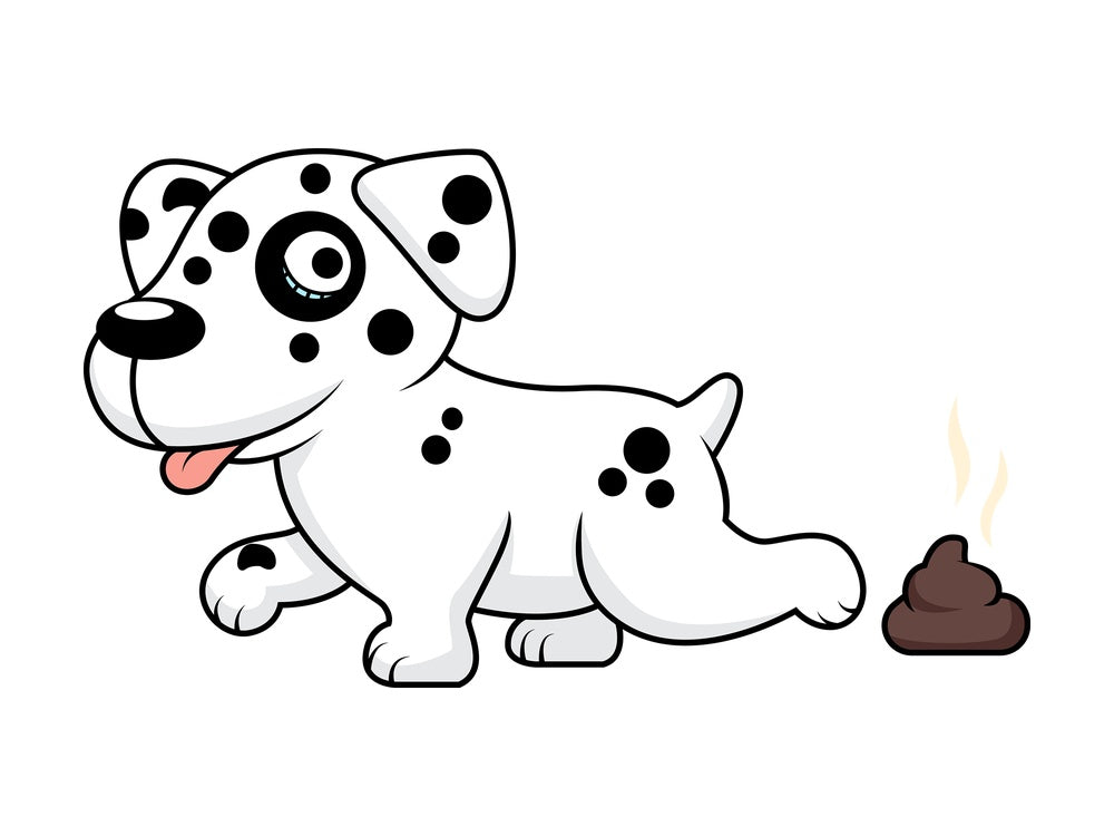 Charming dalmatian dog pooping. PNG - JPG and vector EPS (infinitely scalable).