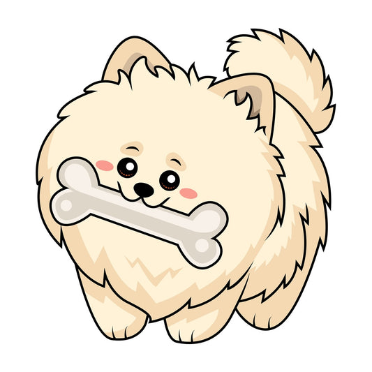 Sweet pomeranian dog chewing a big bone. PNG - JPG and vector EPS (infinitely scalable).