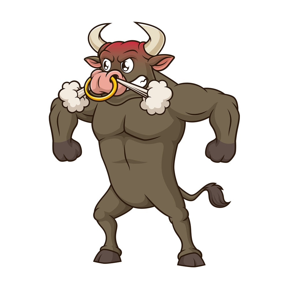 Furious bull. PNG - JPG and vector EPS file formats (infinitely scalable). Image isolated on transparent background.
