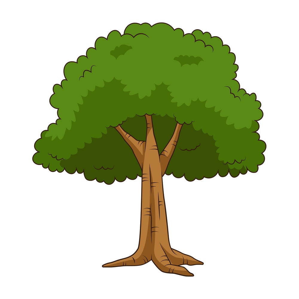 Green leaf tree. PNG - JPG and vector EPS file formats (infinitely scalable). Image isolated on transparent background.