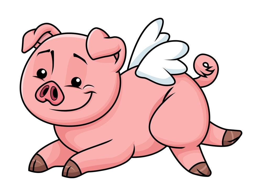 Cute pig with wings like an angel - Image isolated on transparent background. PNG