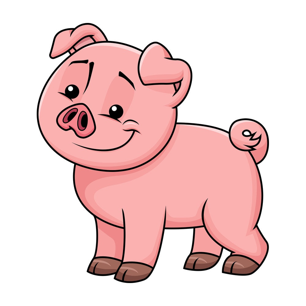 Cute pig staring at something - Image isolated on transparent background. PNG