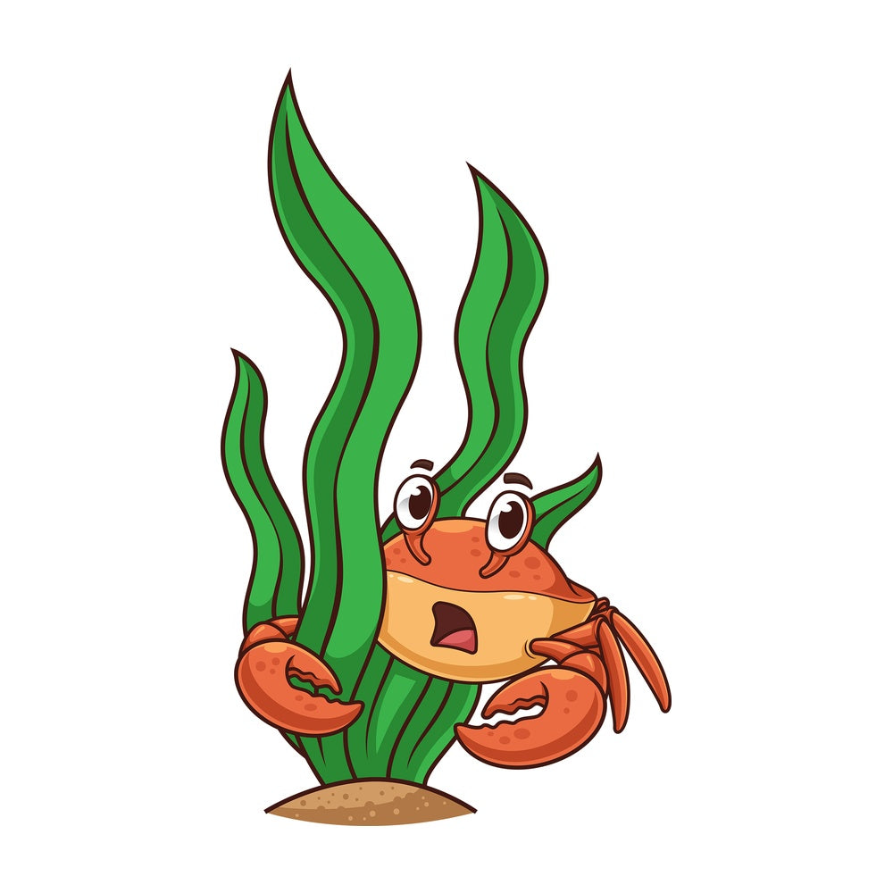 Crab hiding. PNG - JPG and vector EPS (infinitely scalable).