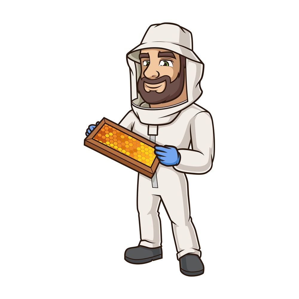 Male beekeeper checking honeycomb. PNG - JPG and vector EPS (infinitely scalable).