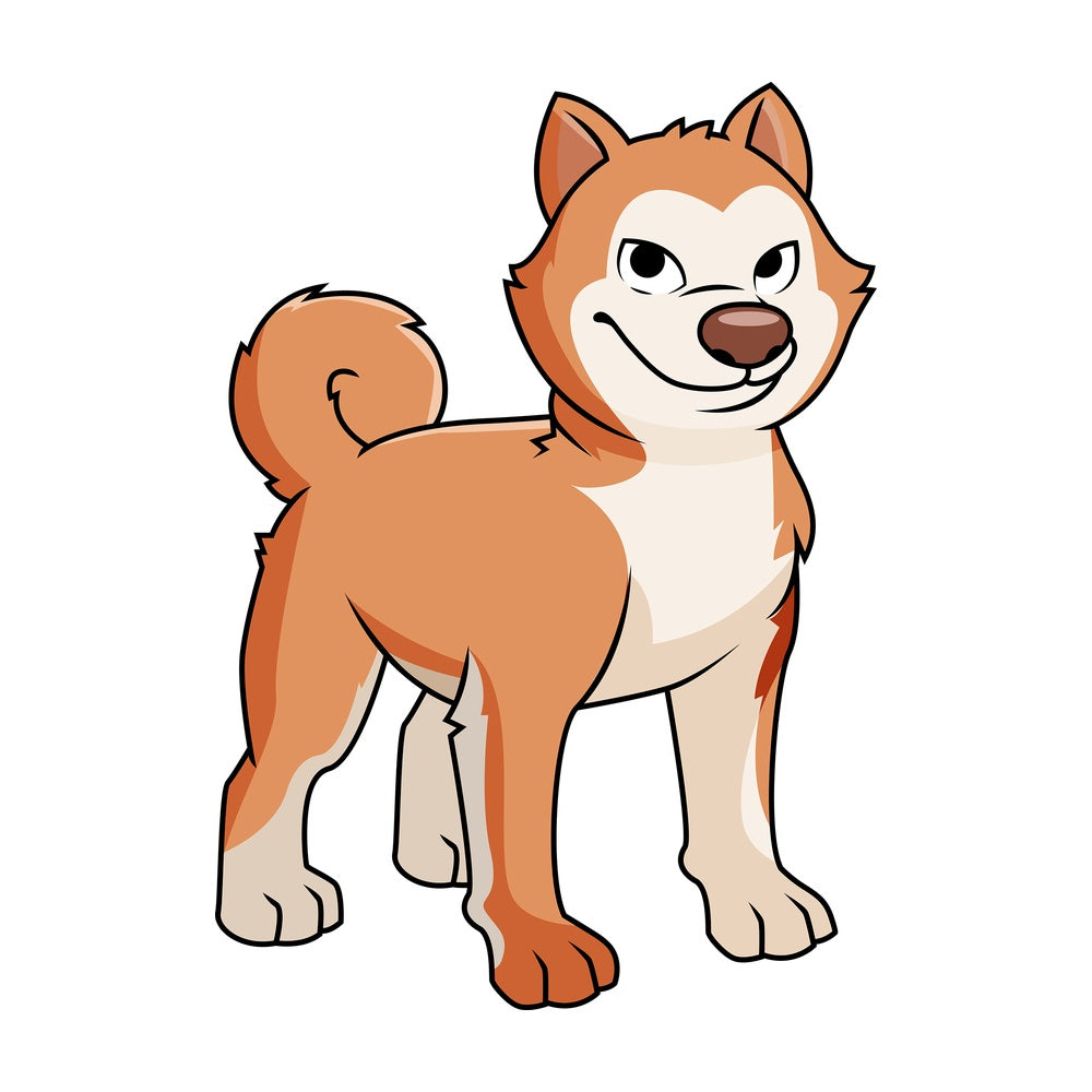 Adorable akita dog. PNG - JPG and vector EPS file formats (infinitely scalable). Image isolated on transparent background.