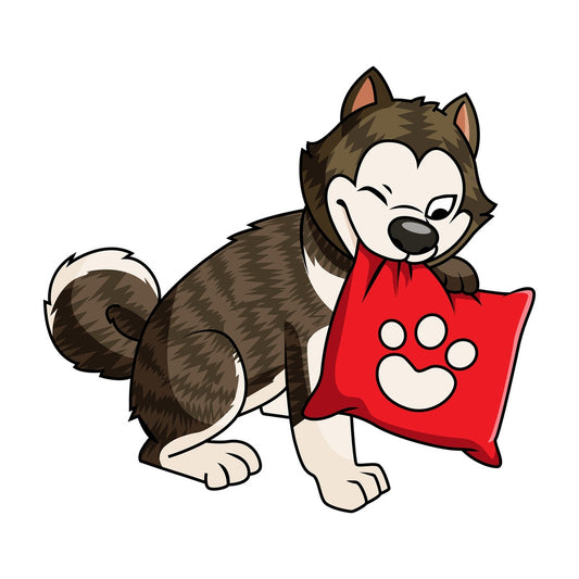 Brindle akita dog with pillow. PNG - JPG and vector EPS file formats (infinitely scalable). Image isolated on transparent background.