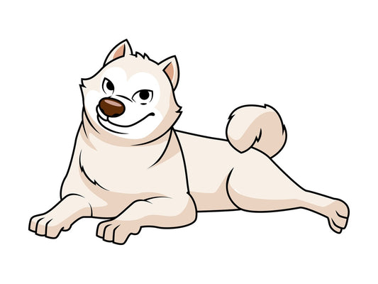 White akita dog lying down. PNG - JPG and vector EPS file formats (infinitely scalable). Image isolated on transparent background.