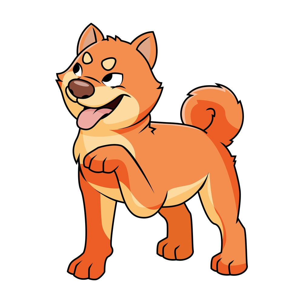 Playful akita dog. PNG - JPG and vector EPS file formats (infinitely scalable). Image isolated on transparent background.