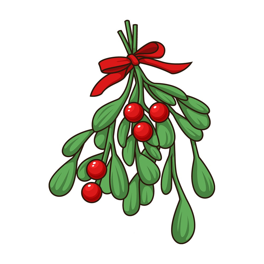 Cartoon mistletoe xmas. PNG - JPG and vector EPS file formats (infinitely scalable). Image isolated on transparent background.