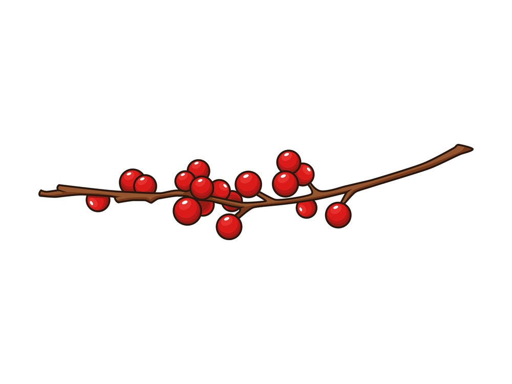 Cartoon winter berry. PNG - JPG and vector EPS file formats (infinitely scalable). Image isolated on transparent background.