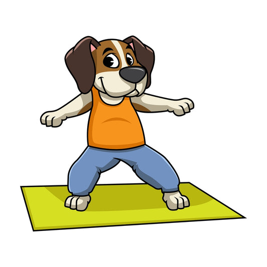 Beagle dog doing yoga. PNG - JPG and vector EPS file formats (infinitely scalable). Image isolated on transparent background.