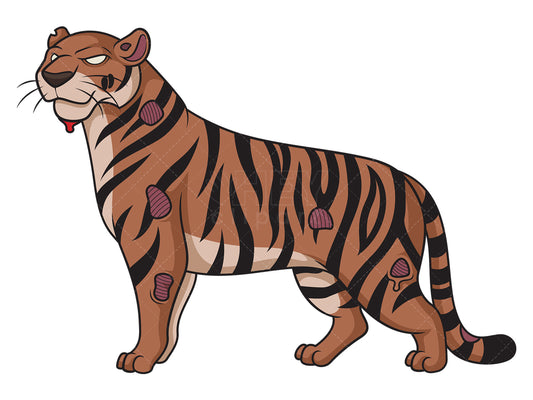 Royalty-free stock vector illustration of a creepy zombie tiger.