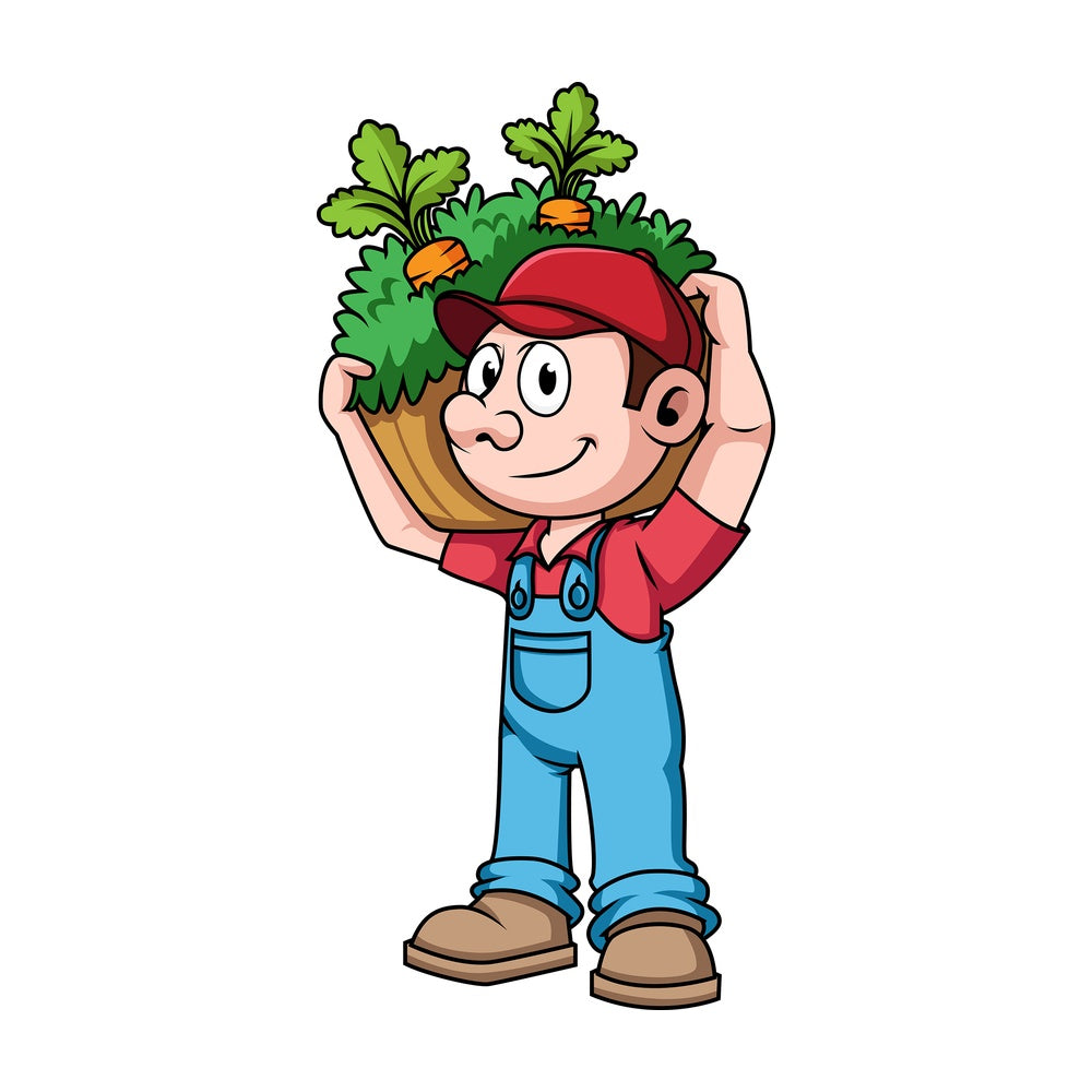 Farmer with harvested vegetables. PNG - JPG and vector EPS file formats (infinitely scalable). Image isolated on transparent background.
