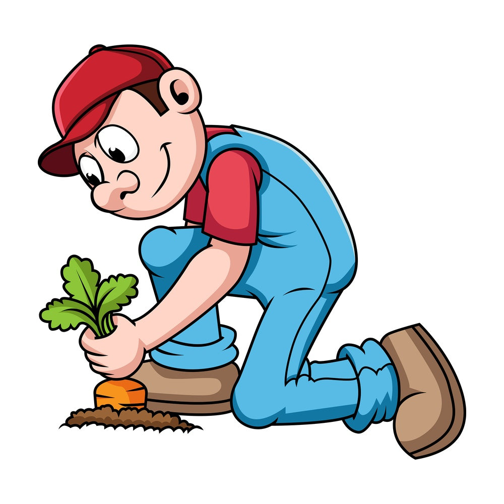 Farmer harvesting crops. PNG - JPG and vector EPS file formats (infinitely scalable). Image isolated on transparent background.