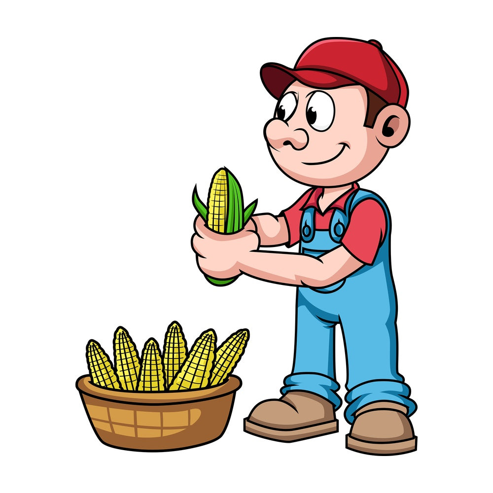 Farmer harvesting corn. PNG - JPG and vector EPS file formats (infinitely scalable). Image isolated on transparent background.