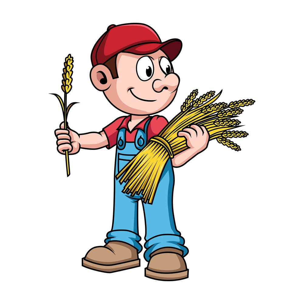 Farmer harvesting wheat. PNG - JPG and vector EPS file formats (infinitely scalable). Image isolated on transparent background.