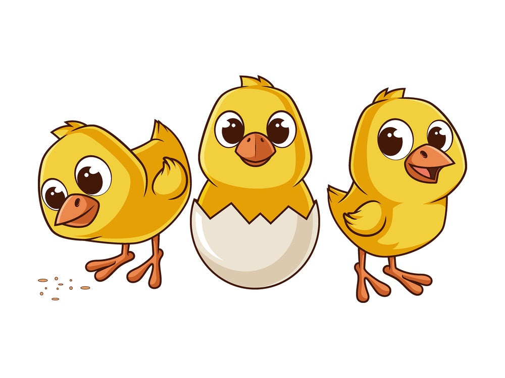 Cartoon little chickens. PNG - JPG and vector EPS file formats (infinitely scalable). Image isolated on transparent background.
