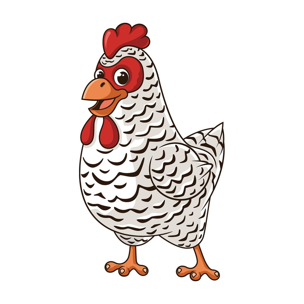Cartoon plymouth rock chicken. PNG - JPG and vector EPS file formats (infinitely scalable). Image isolated on transparent background.