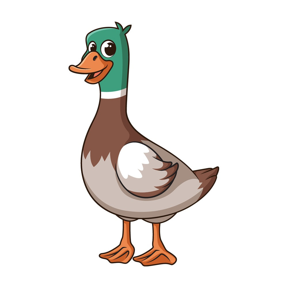 Cartoon female mallard duck. PNG - JPG and vector EPS file formats (infinitely scalable). Image isolated on transparent background.