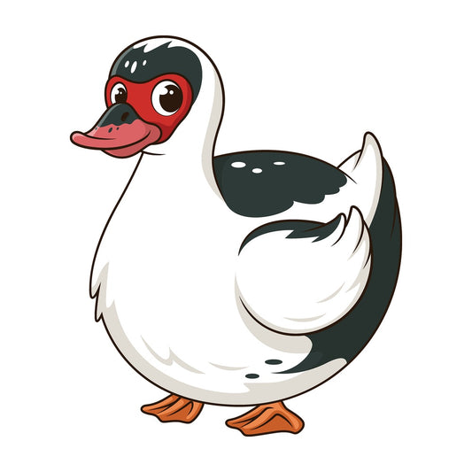 Cartoon muscovy duck. PNG - JPG and vector EPS file formats (infinitely scalable). Image isolated on transparent background.