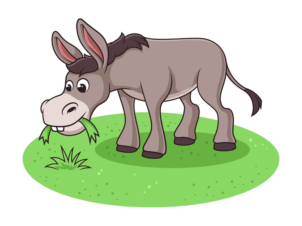 Cartoon donkey eating grass. PNG - JPG and vector EPS file formats (infinitely scalable). Image isolated on transparent background.