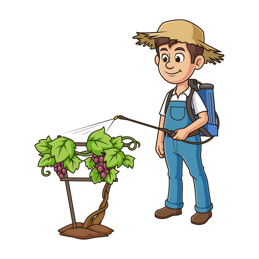 Cartoon farmer spraying grapevine. PNG - JPG and vector EPS file formats (infinitely scalable). Image isolated on transparent background.