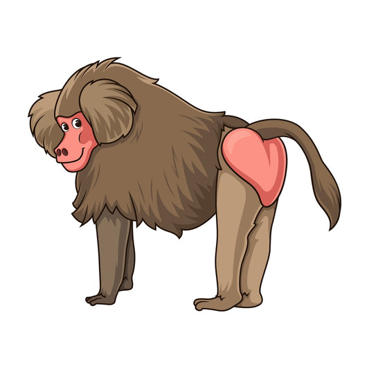 Cartoon baboon safari animal. PNG - JPG and vector EPS file formats (infinitely scalable). Image isolated on transparent background.