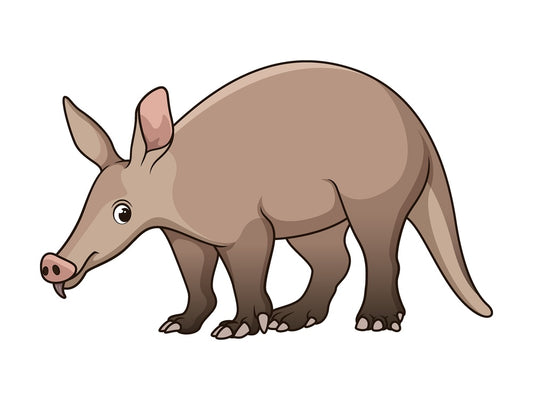 Cartoon aardvark safari animal. PNG - JPG and vector EPS file formats (infinitely scalable). Image isolated on transparent background.