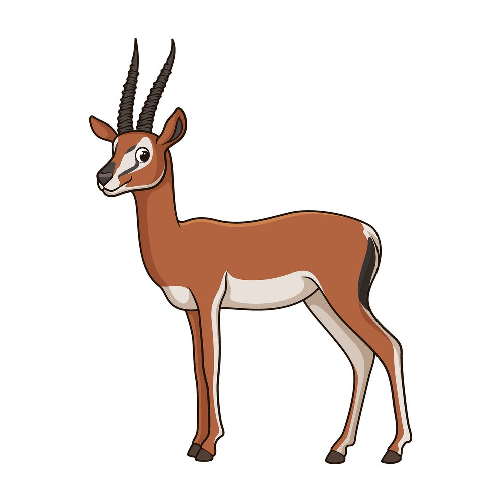 Cartoon gazelle safari animal. PNG - JPG and vector EPS file formats (infinitely scalable). Image isolated on transparent background.