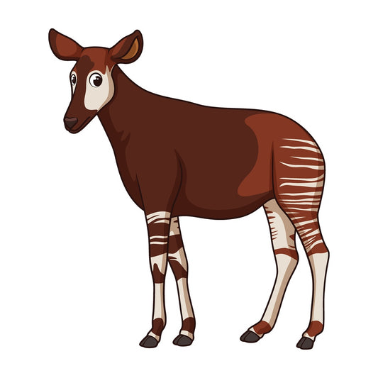 Cartoon okapi safari animal. PNG - JPG and vector EPS file formats (infinitely scalable). Image isolated on transparent background.
