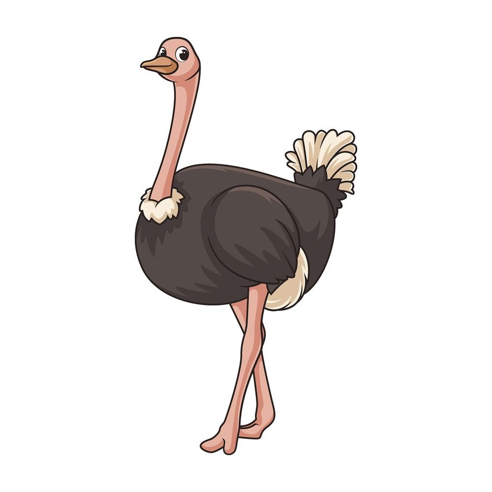 Cartoon ostrich bird. PNG - JPG and vector EPS file formats (infinitely scalable). Image isolated on transparent background.